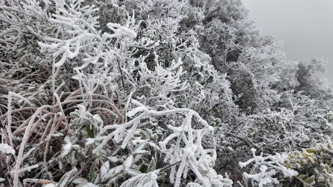 中国广东省清远市连山金子山景区