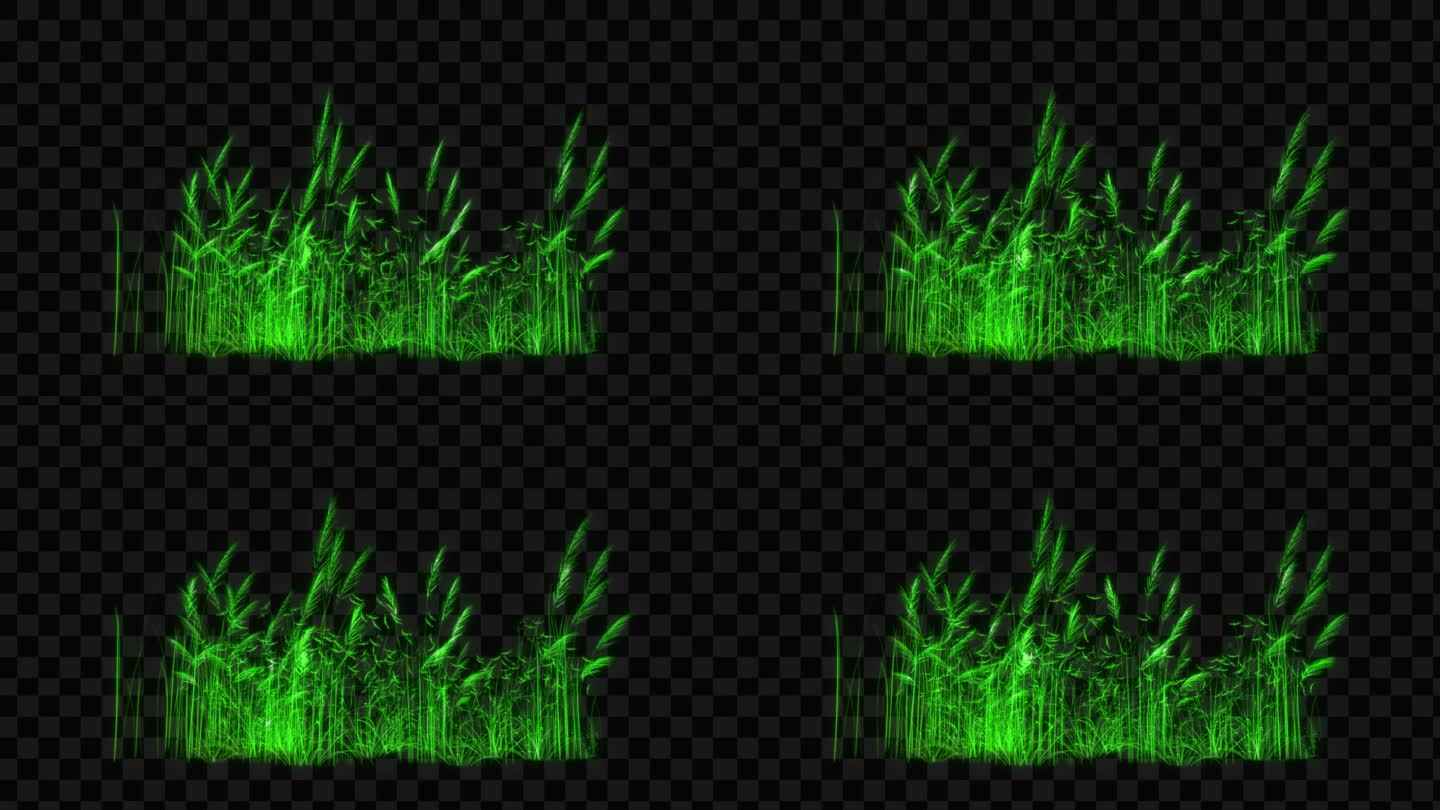 绿色水晶发光芦苇生长动画-带透明通道