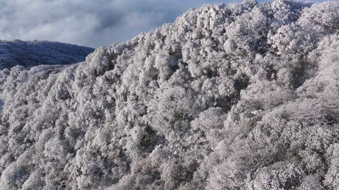 4K 贵州雷公山冬季雪景12