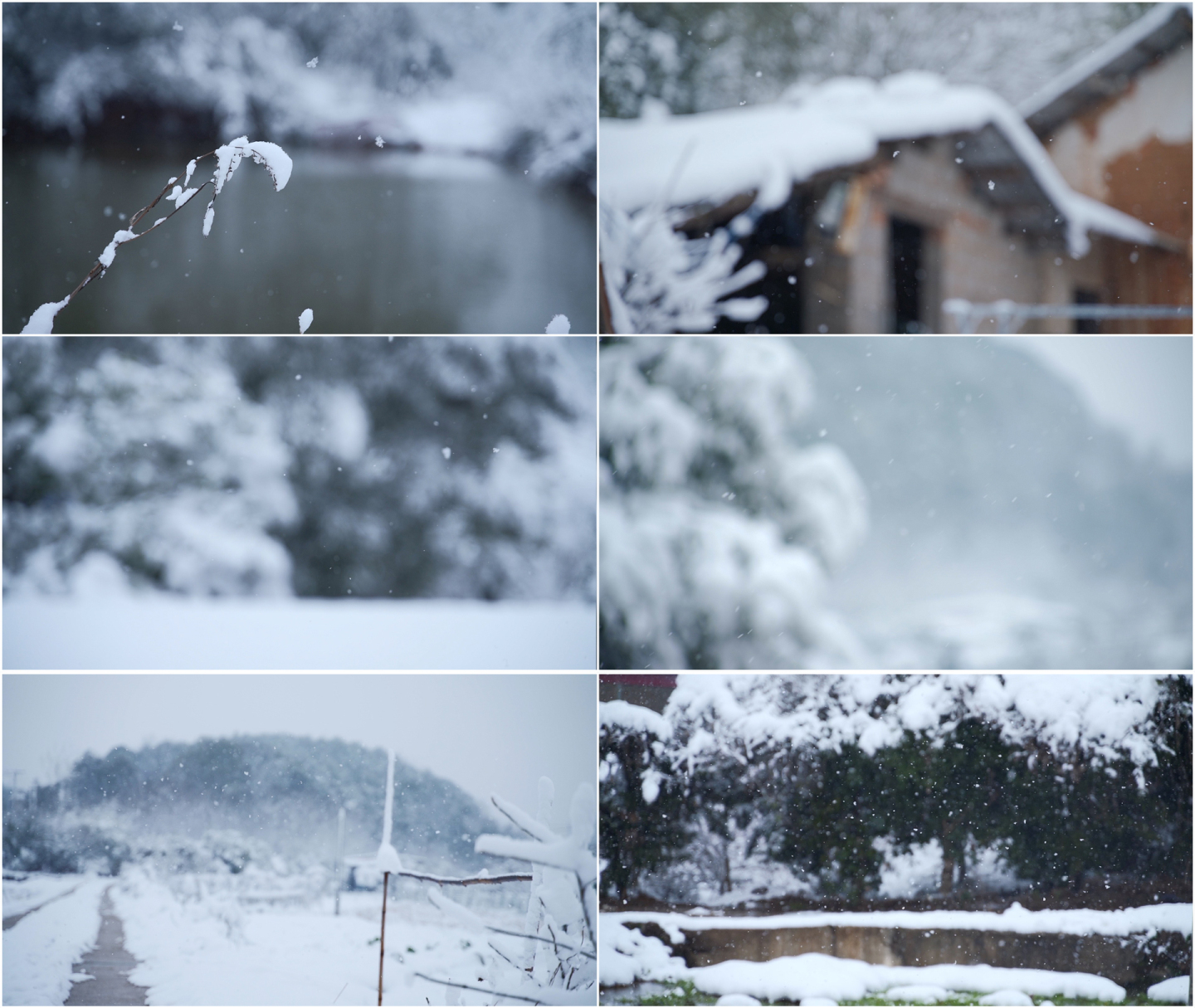 12组下雪慢镜头田野山林村庄雪花飘落升格