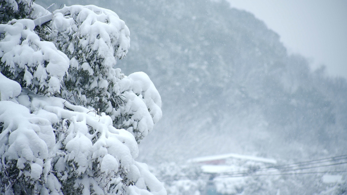 12组下雪慢镜头田野山林村庄雪花飘落升格