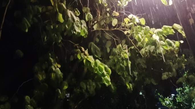 雷电夜 闪电城市上空夜晚下大雨 雨景城市