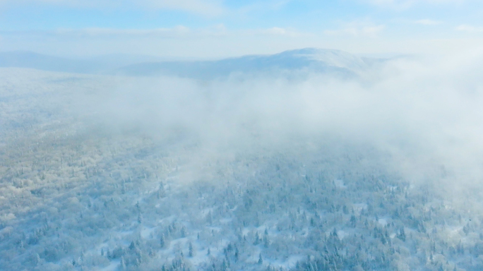 唯美冬天雪景树林雾凇