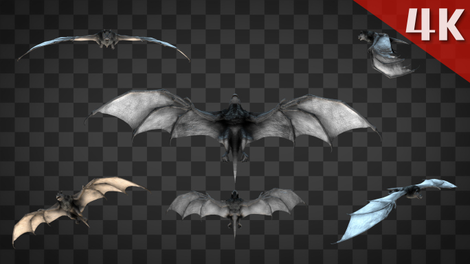 6组蝙蝠透明通道素材