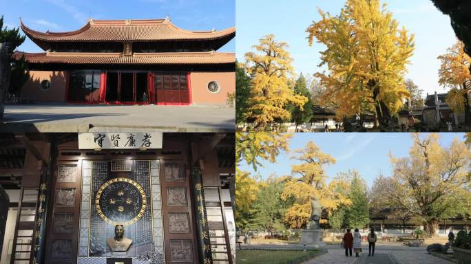 苏州文庙 碑刻博物馆 秋季风景