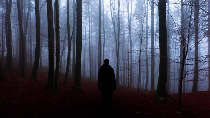 人的剪影在神秘的黑雾秋林景观。