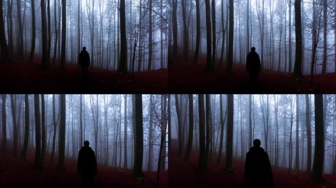 人的剪影在神秘的黑雾秋林景观。