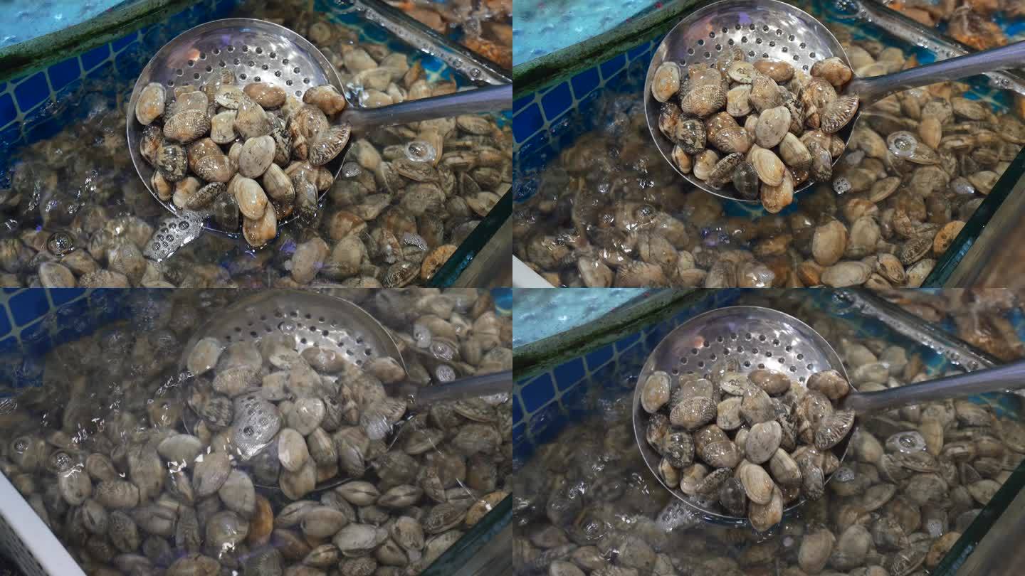 海鲜贝壳海鲜馆