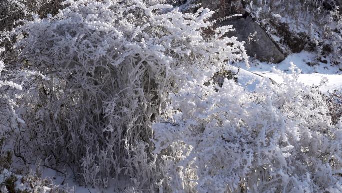 贵州威宁百草坪地面雪景