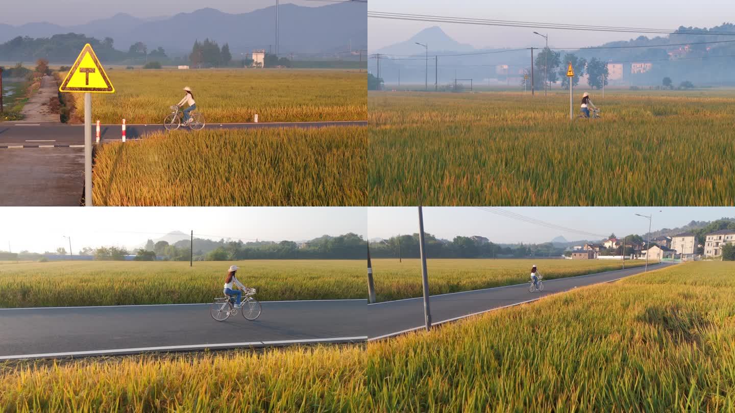 女人在田间骑自行车