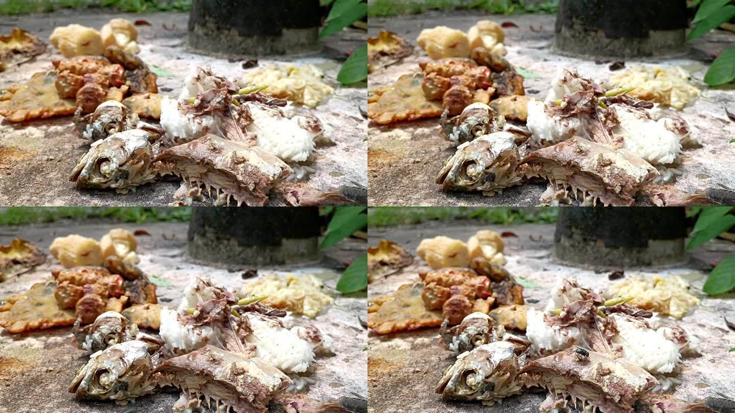 剩饭剩菜:被扔掉并被苍蝇感染的剩饭剩菜