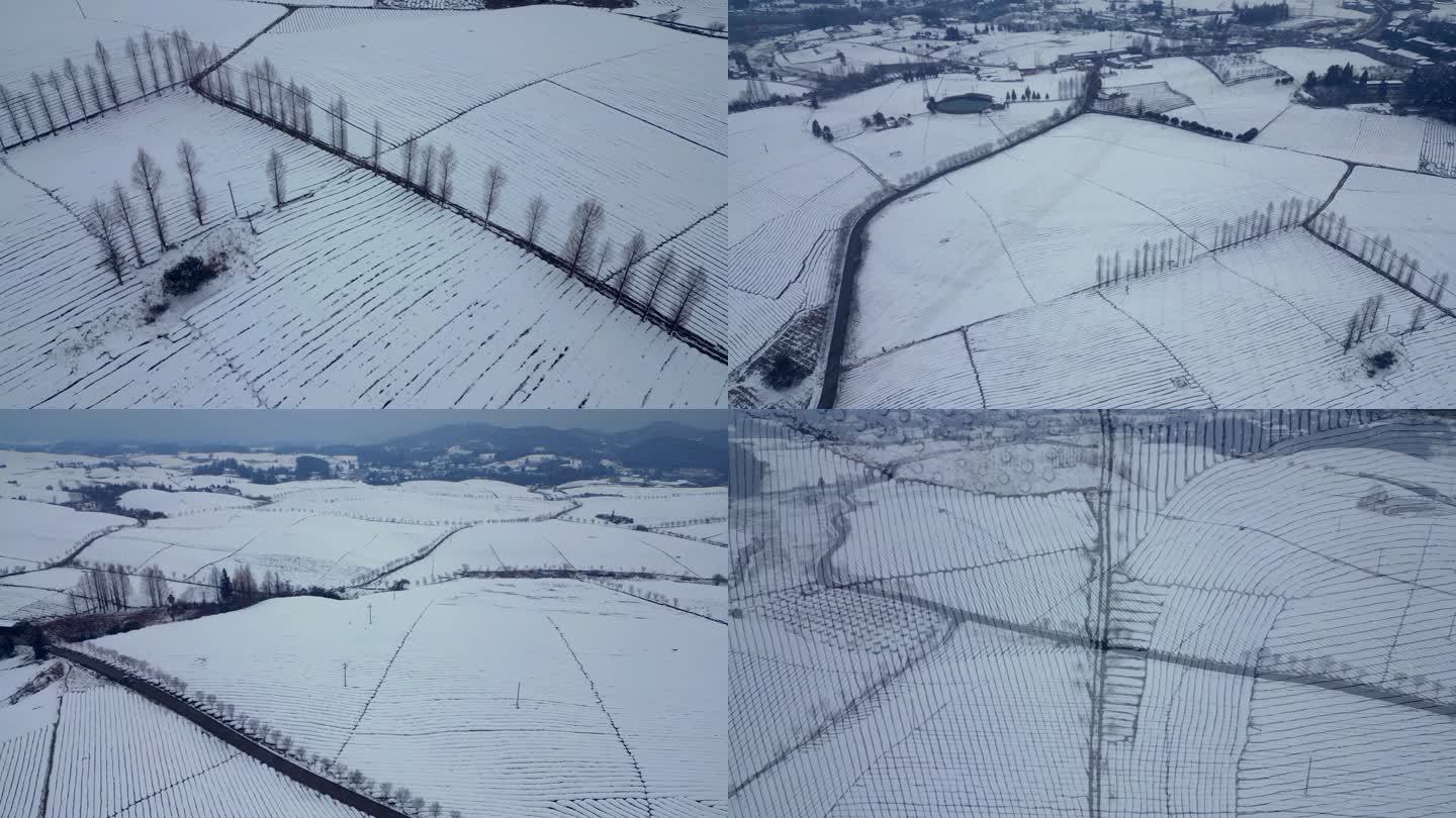 南方雪景之茶海的次序感排列感