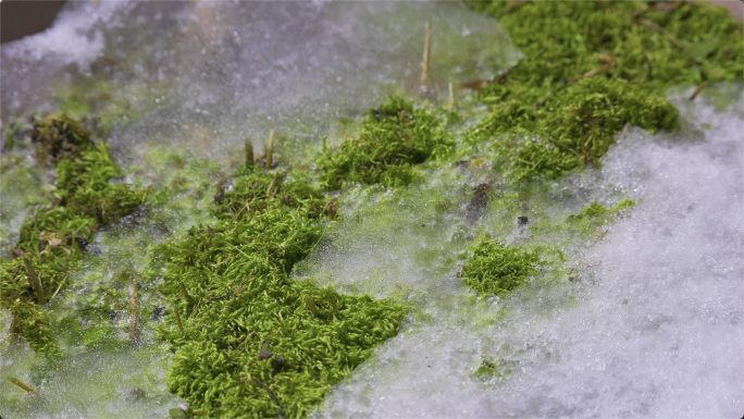 冰雪融化-延时记录冰雪融化气温回升冰融化