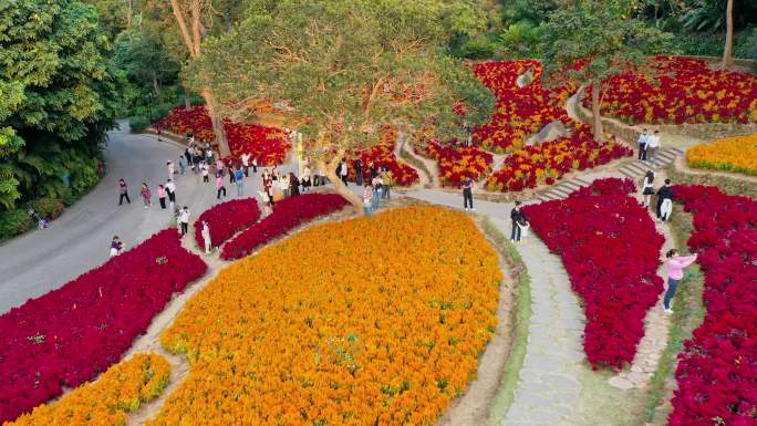 南宁青秀山 花海 花园