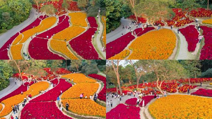 南宁青秀山 花海 花园