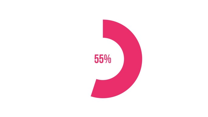 55%信息图饼状图动画。