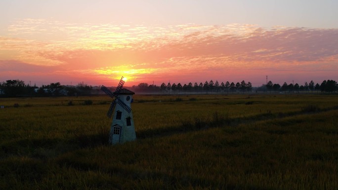 夕阳风车稻田