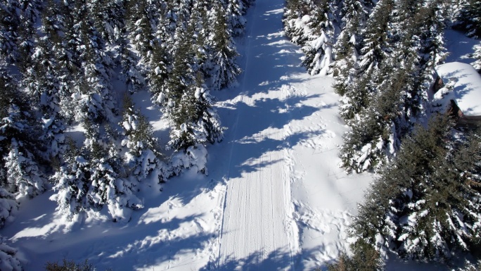长白山雪岭景区