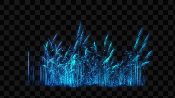 蓝色水晶发光芦苇生长动画-带透明通道