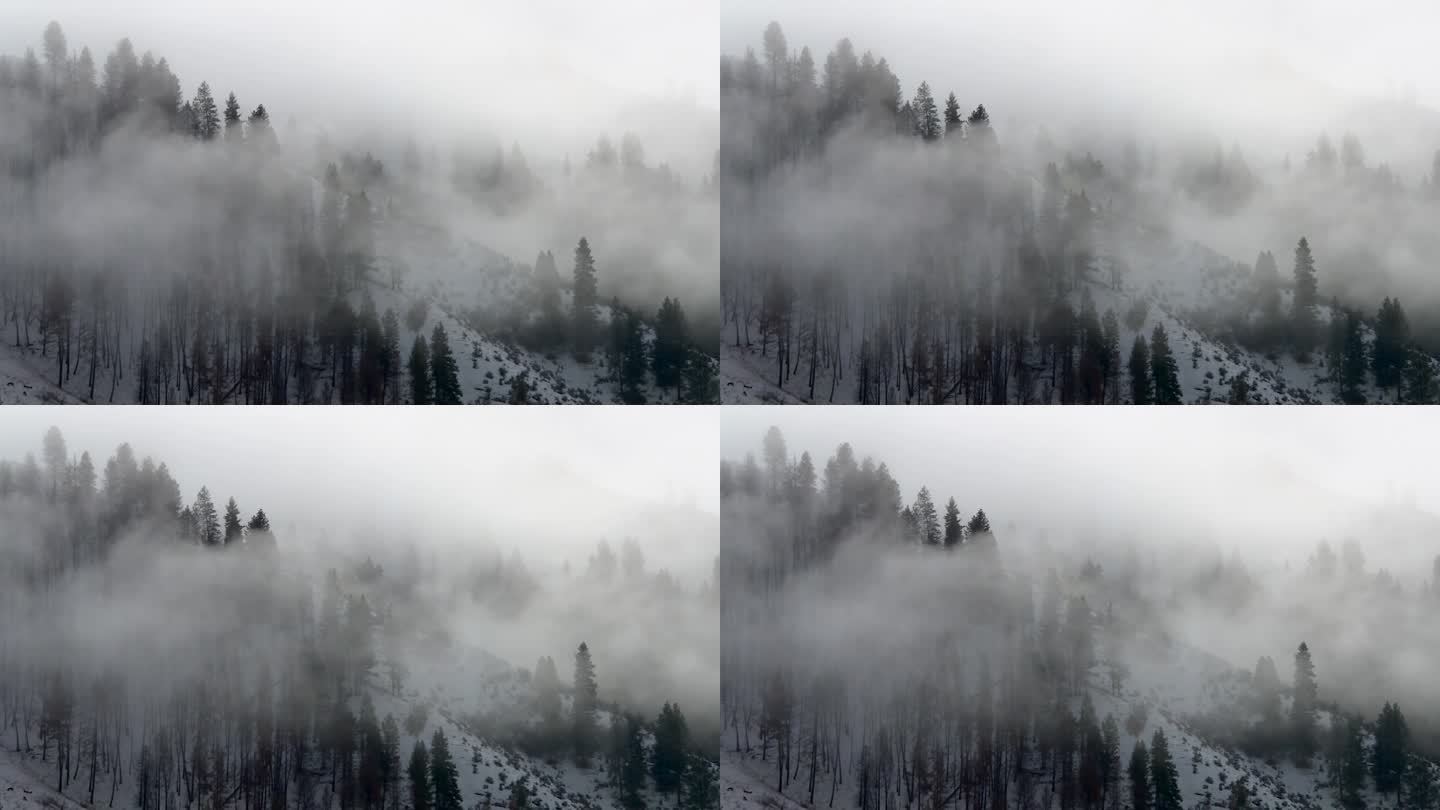 美国爱达荷州博伊西国家森林的冬季山脉上的烟雾。静态的照片