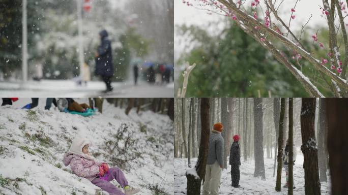 唯美雪景 公园里赏雪玩雪