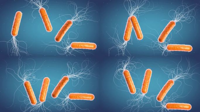 橙色多重耐抗生素铜绿假单胞菌细菌-三维插图