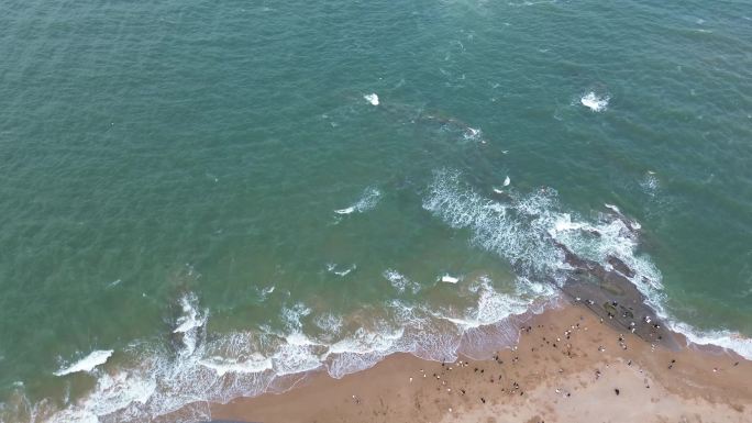 海滨游艇快艇水杉林海浪海岸海滩