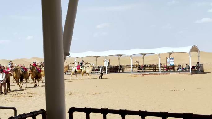 沙漠骑骆驼景区