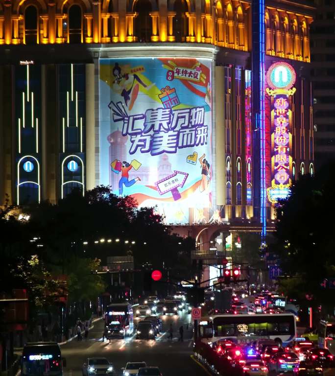 上海 道路 车流 交通 延时 高架 夜景