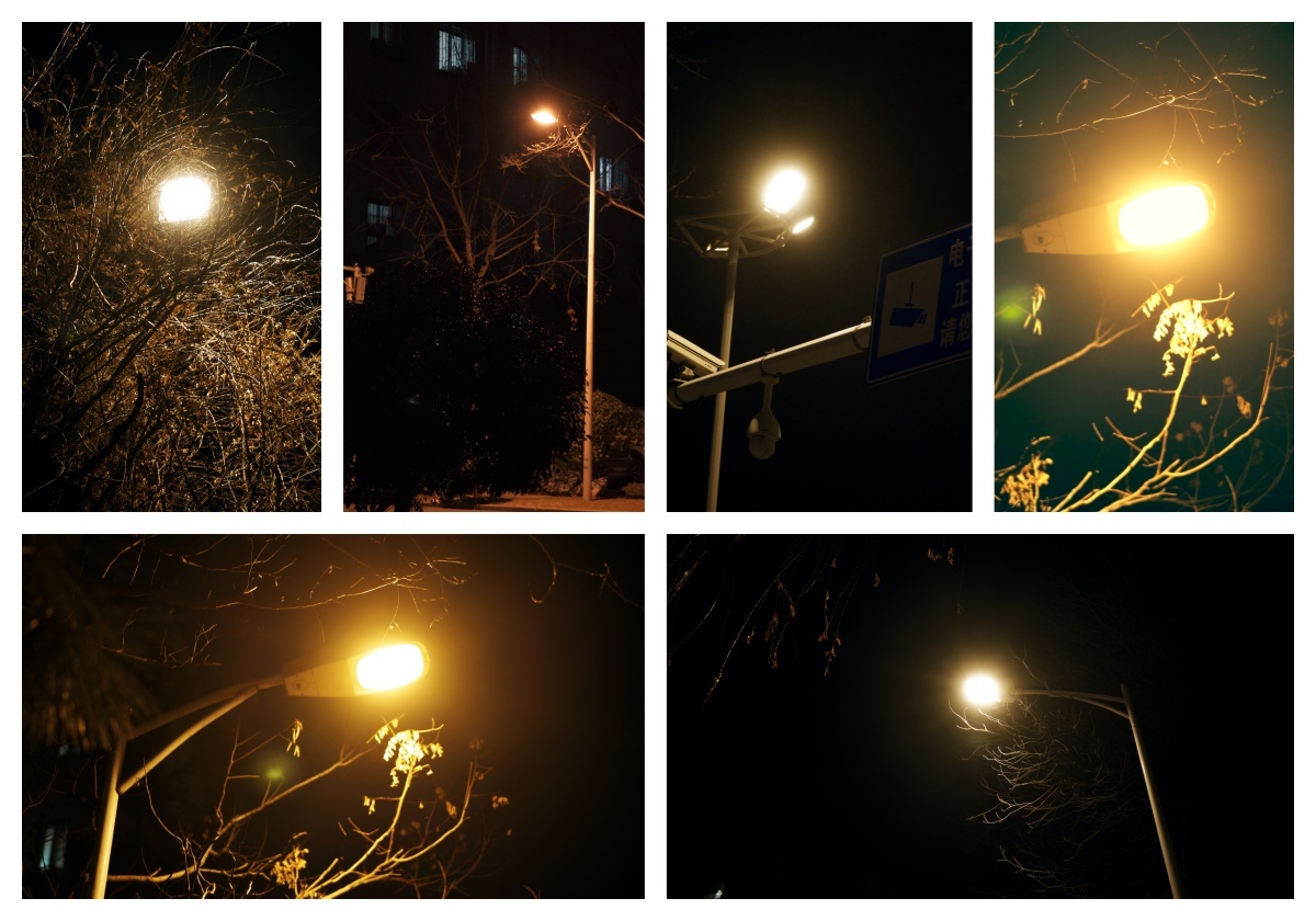 路灯  各种路灯 冬季路灯 小区路灯