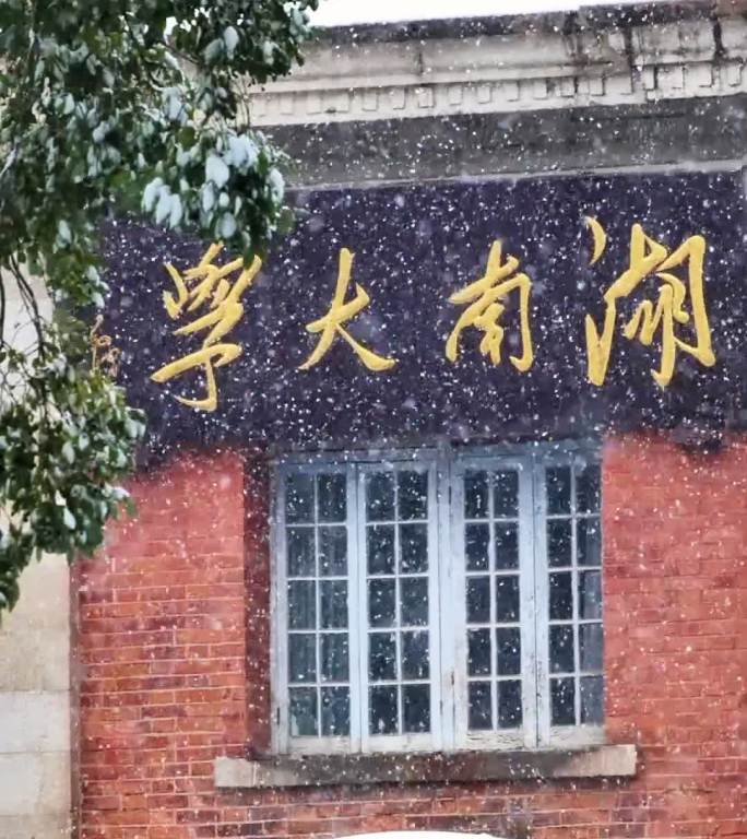 竖屏湖南大学下雪升格雪花慢镜头