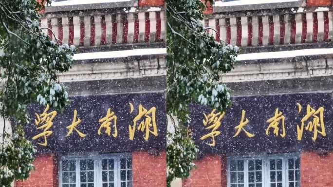 竖屏湖南大学下雪升格雪花慢镜头