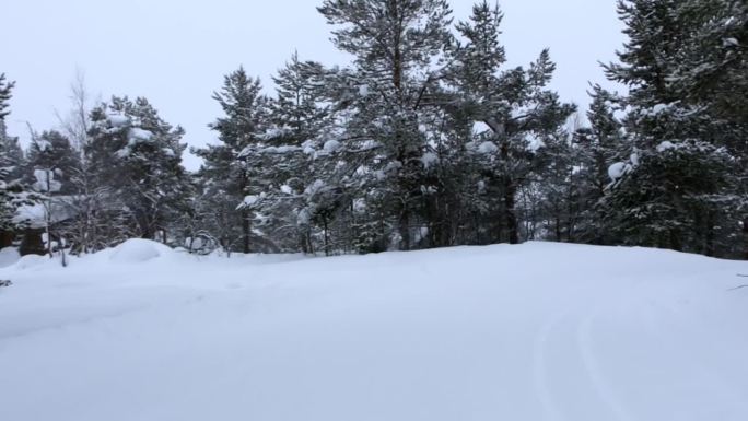 在大雪中驾车穿越冬季森林