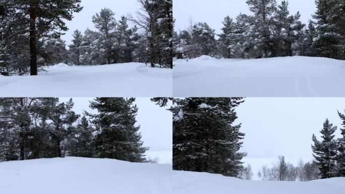 在大雪中驾车穿越冬季森林
