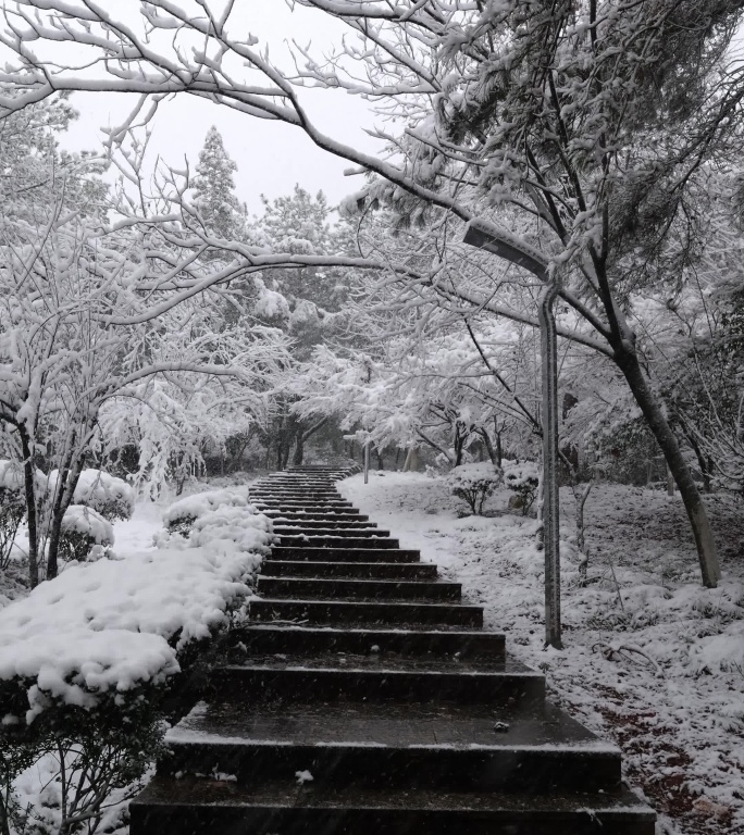 冰雪覆盖的公园