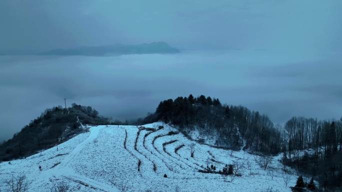 航拍陕西商洛镇安海棠山雪中云海