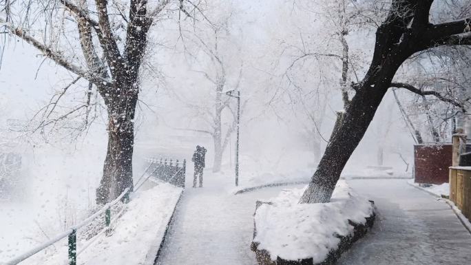 哈尔滨冬天雾凇雪花下雪