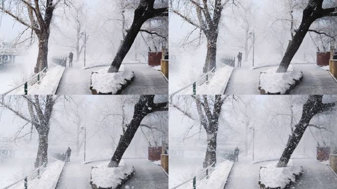 哈尔滨冬天雾凇雪花下雪