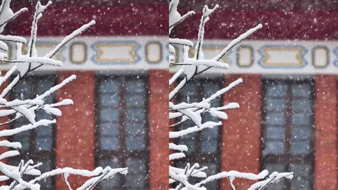 竖屏湖南大学下雪升格雪花慢镜头