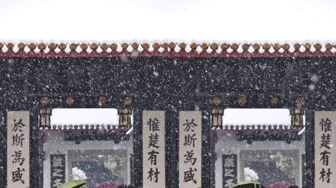 竖屏长沙岳麓山下雪升格雪花慢镜头