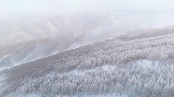 绝美雾凇云海 万龙滑雪场山顶