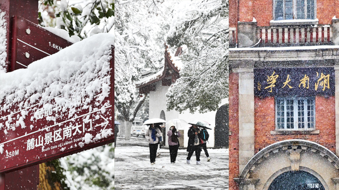 竖屏长沙岳麓山下雪升格雪花慢镜头