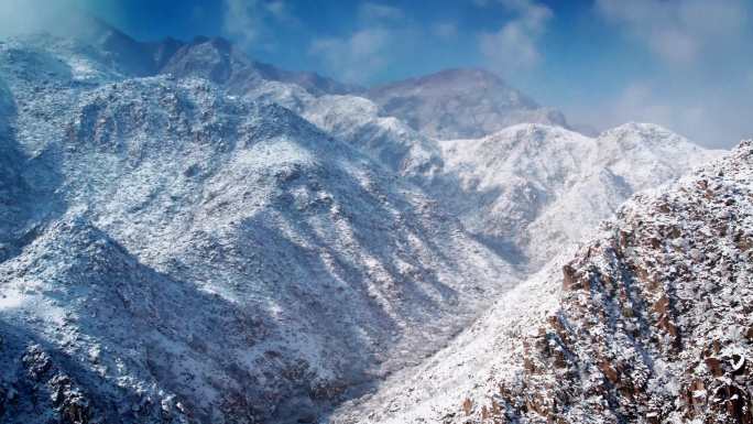 贺兰晴雪