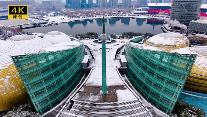 航拍 郑州艺术中心 大金蛋 雪景