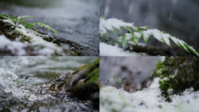 唯美雪景 雪花纷飞