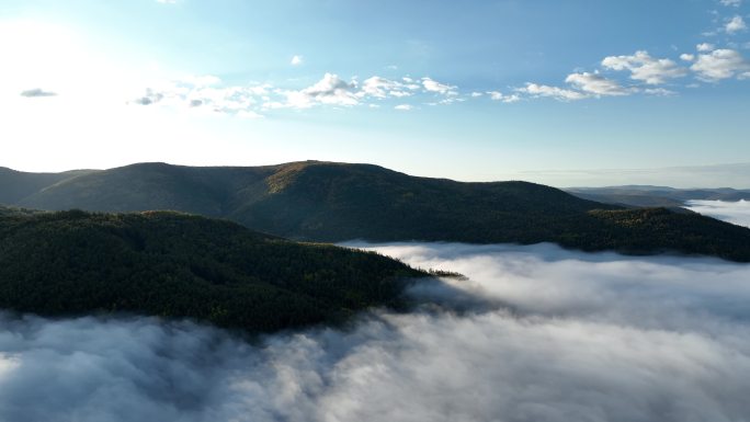 森林航拍崇山峻岭云雾云海