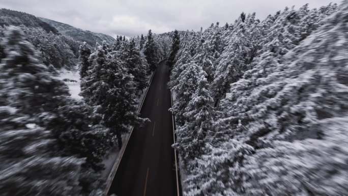 FPV森林雪景