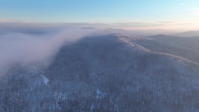 大兴安岭冬季黎明山林雾凇冷空气