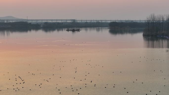 航拍汉江国家湿地公园黄昏水鸟栖息自然风光