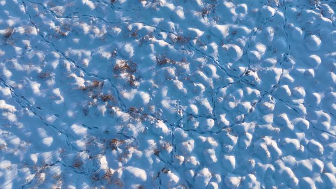 冬季湿地塔头甸子雪包雪帽